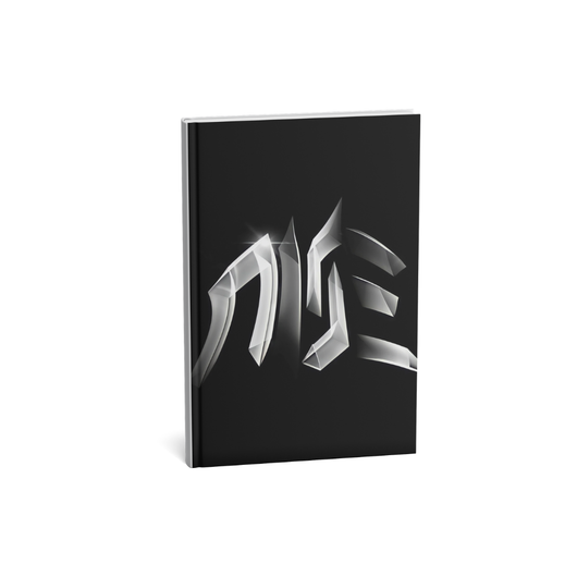 Programme de préparation physique Rise (Perte de poids)